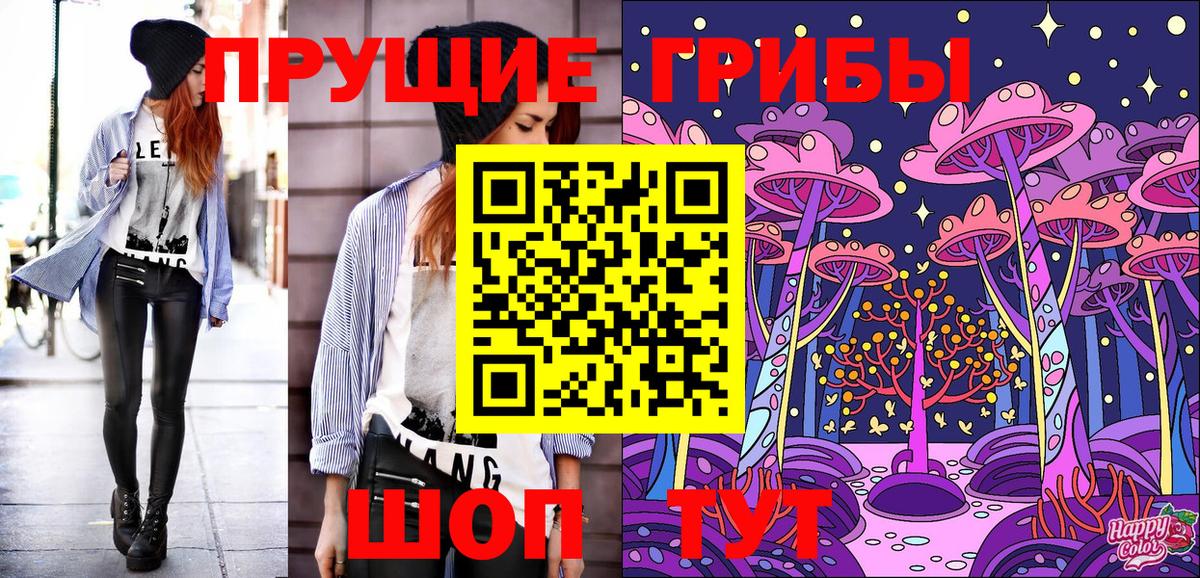 Псилоцибиновые грибы GOLDEN TEACHER Зима